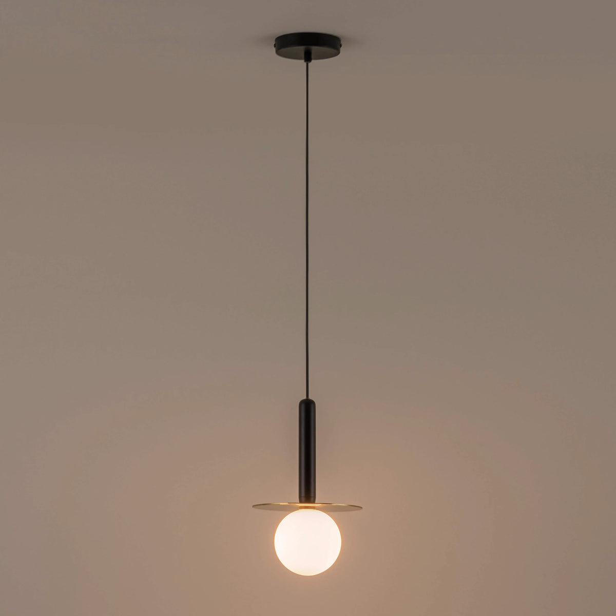 Charcoal Grey & Brass Disc Pendant Light