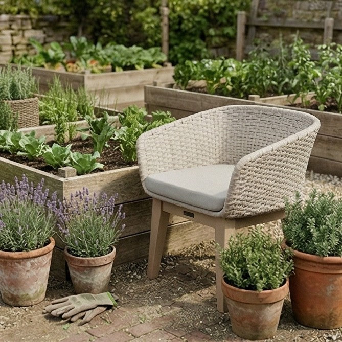Eden Dawn Chair - Set of 2
