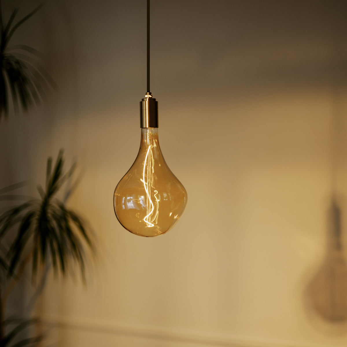 Voronoi II Pendant Light in Brass
